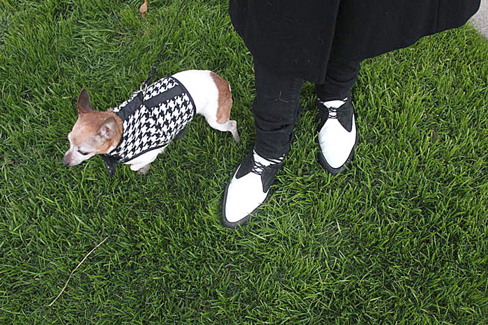 Everyday Fluevogs | May 13, 2011