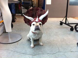 Happy Halloween from FluevogHQ