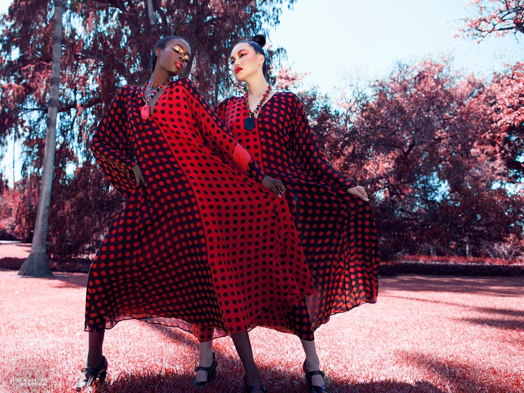 Jute Magazine  - Land Of Forest
