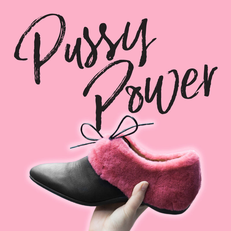 Pussy Power Charities