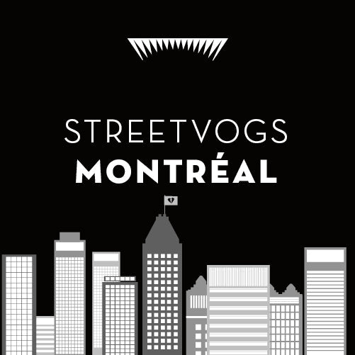 Streetvogs in Montréal