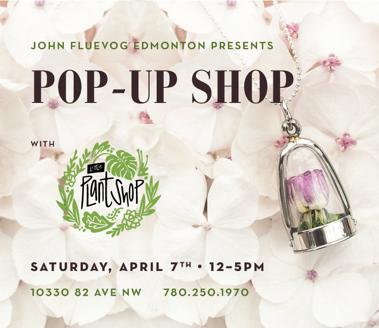 Little Plant Shop Pop-Up in Edmonton