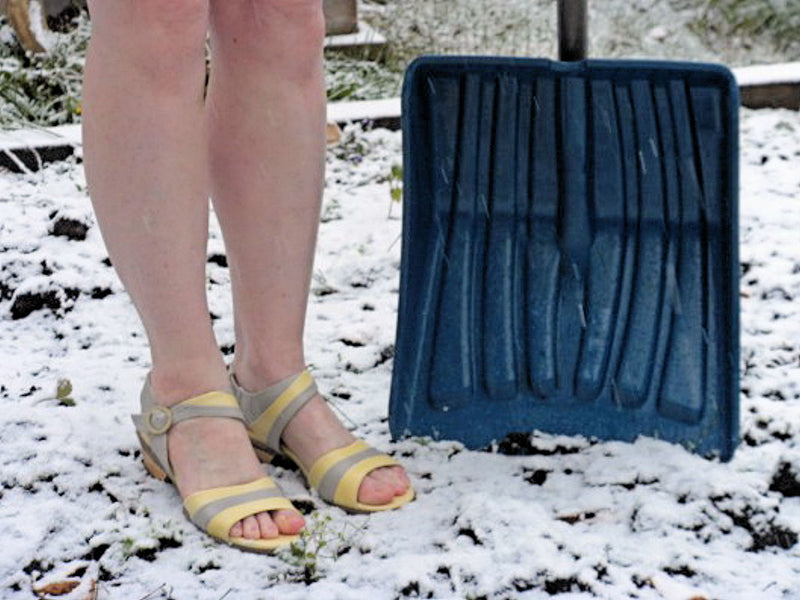 Everyday Fluevogs | November 30, 2013