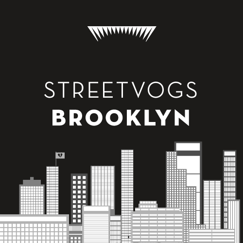 StreetVogs in Brooklyn