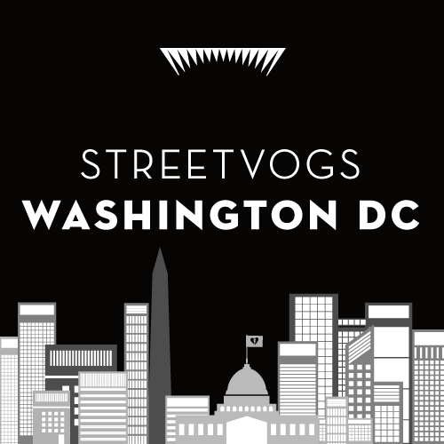 Streetvogs in DC