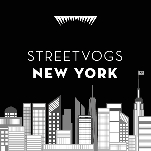 Streetvogs Explores New York City!