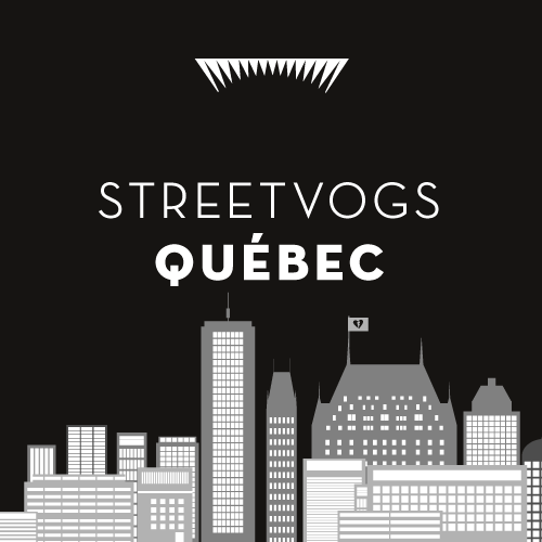 Streetvogs in Quebec