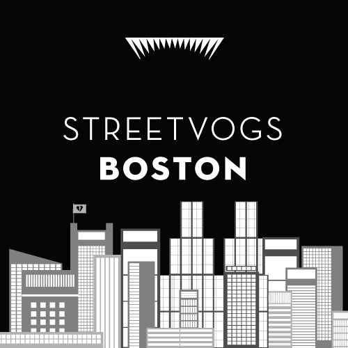 Streetvogs in Boston