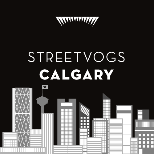Streetvogs in Calgary