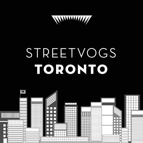 Streetvogs Heads to Toronto!