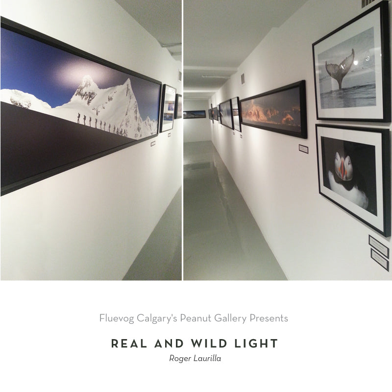 Real and Wild Light at the Peanut Gallery