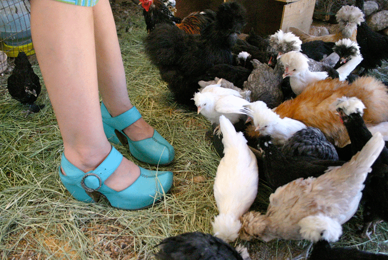 EVERYDAY FLUEVOG | SEPTEMBER 5, 2014