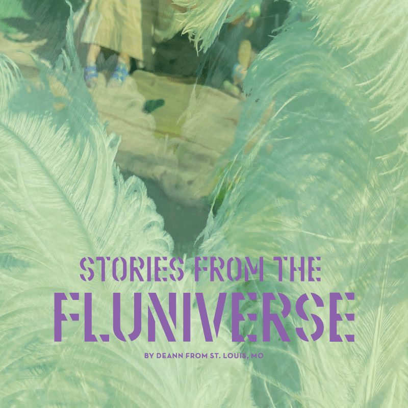 Stories from the Fluniverse by Deann from St Louis, MO
