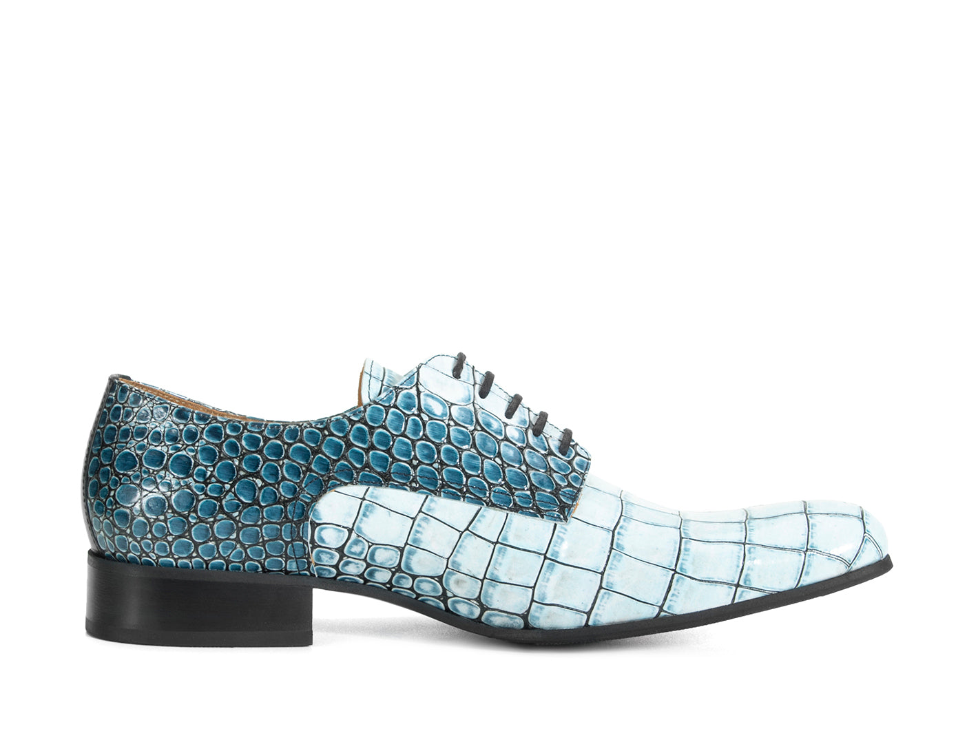 blue_croc - Back