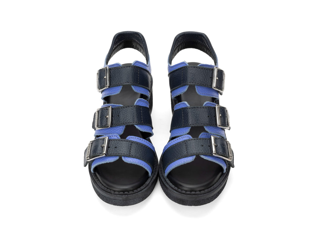 black,blue - Top View
