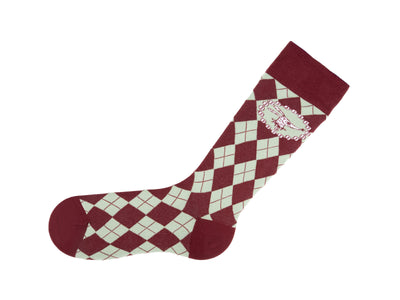 Eleven Vog Socks - Burgundy/Light Green
