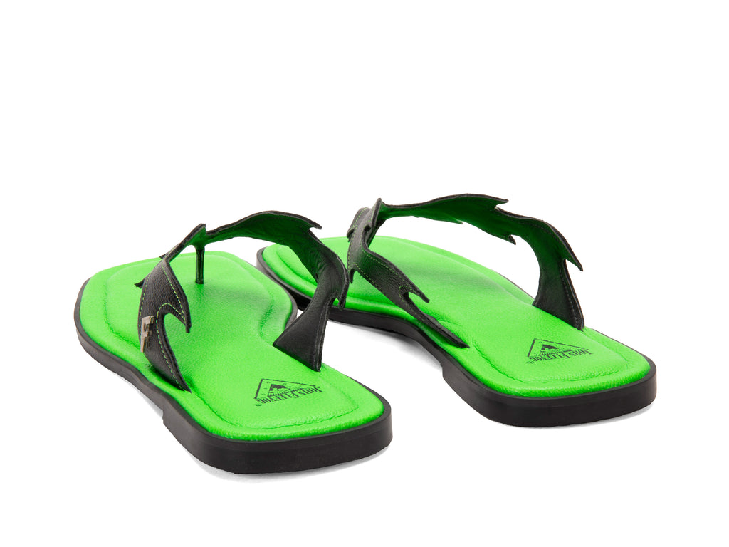 black_green - Back