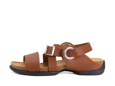 Earley - Brown