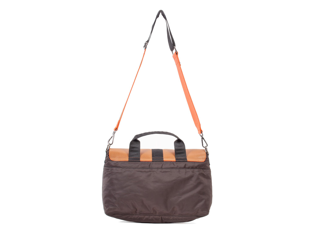 orange_brown - Back