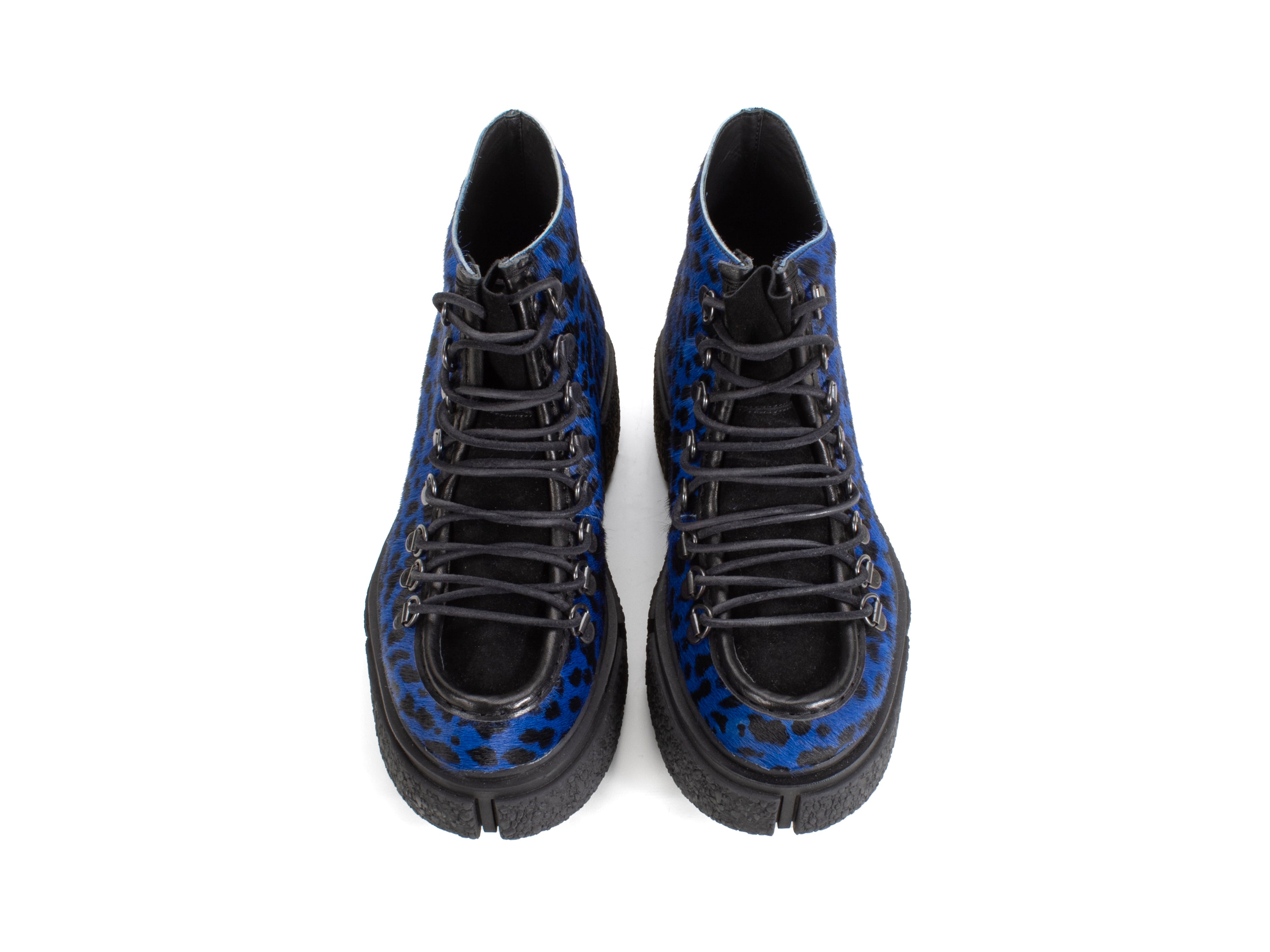blue_cheetah - Top View